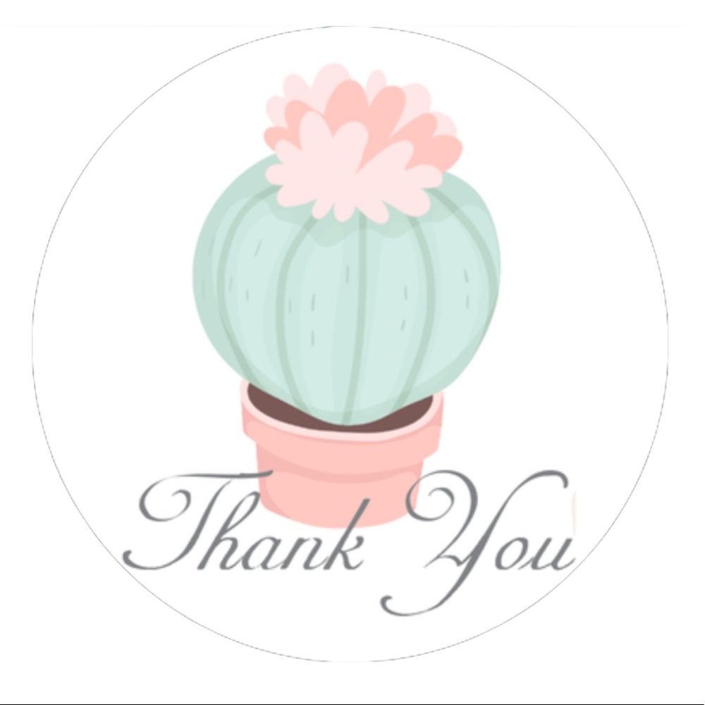 60 2.5” Succulent Stickers CLEARANCE - Picture 5 of 5